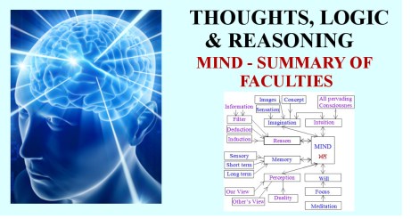 170228-mind-faculties-all-fac-pic