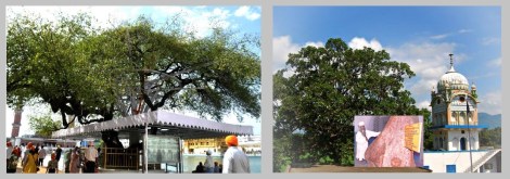 171025 Fig 1A Harmandir Shergardh