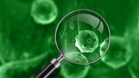 rare-disease-620x350_620x350_41488260155